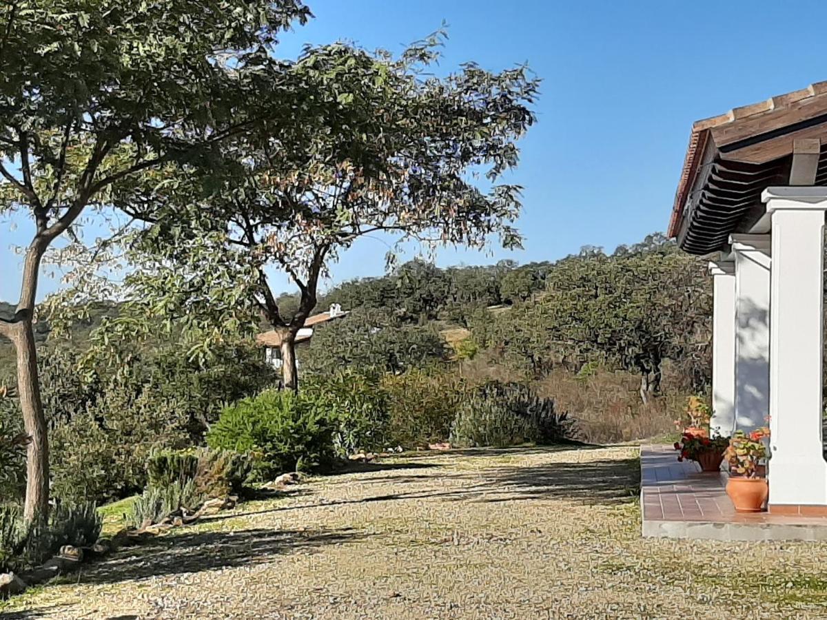 Casa Rural La Aulaga エル・カスティージョ・デ・ラス・グアルダス エクステリア 写真
