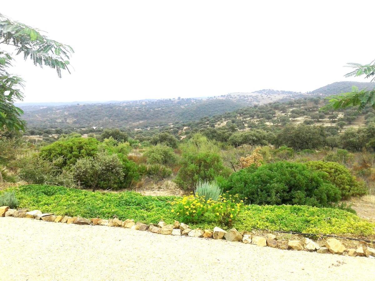 Casa Rural La Aulaga エル・カスティージョ・デ・ラス・グアルダス エクステリア 写真