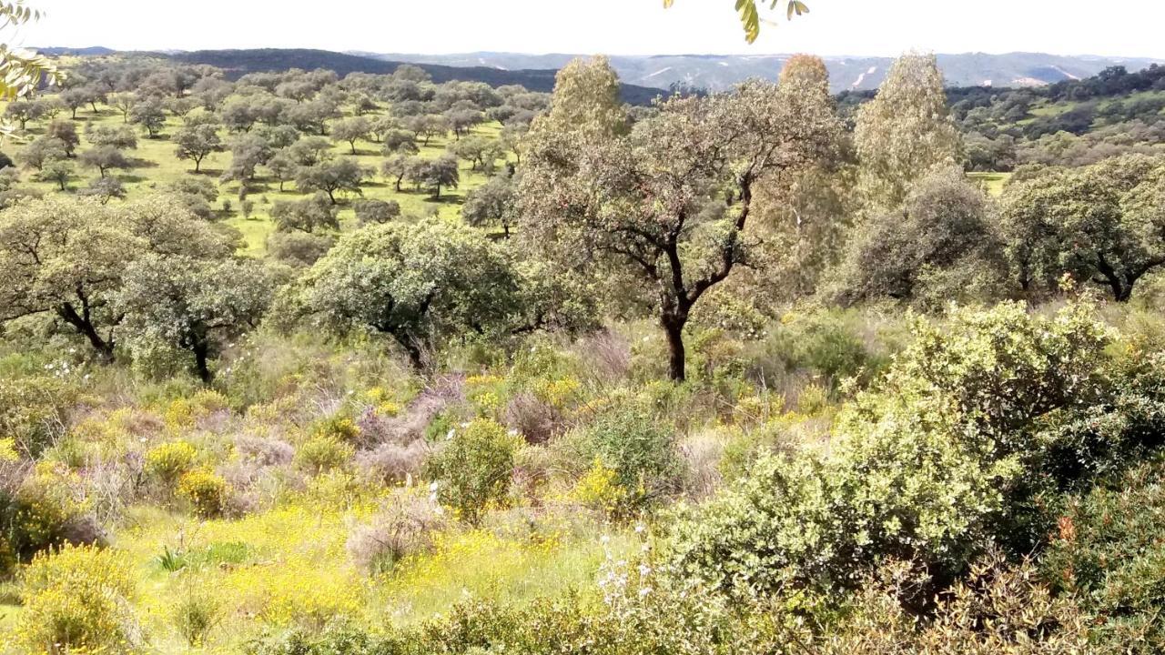 Casa Rural La Aulaga エル・カスティージョ・デ・ラス・グアルダス エクステリア 写真